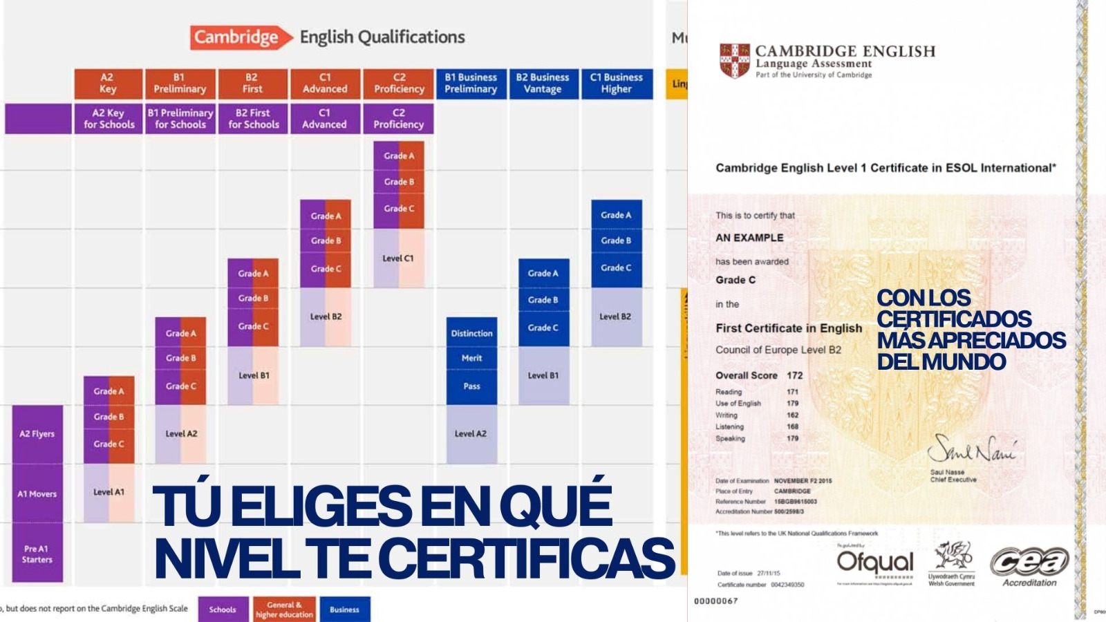 WhatsApp Image 2025-12-02 at 3.29.02 PM